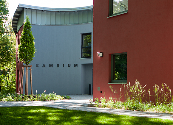 Neubau Studentenwohnanlage Kambium